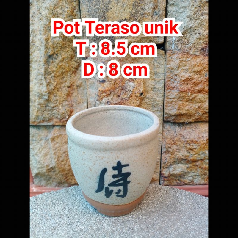 Pot keramik kaktus / pot teraso kaktus