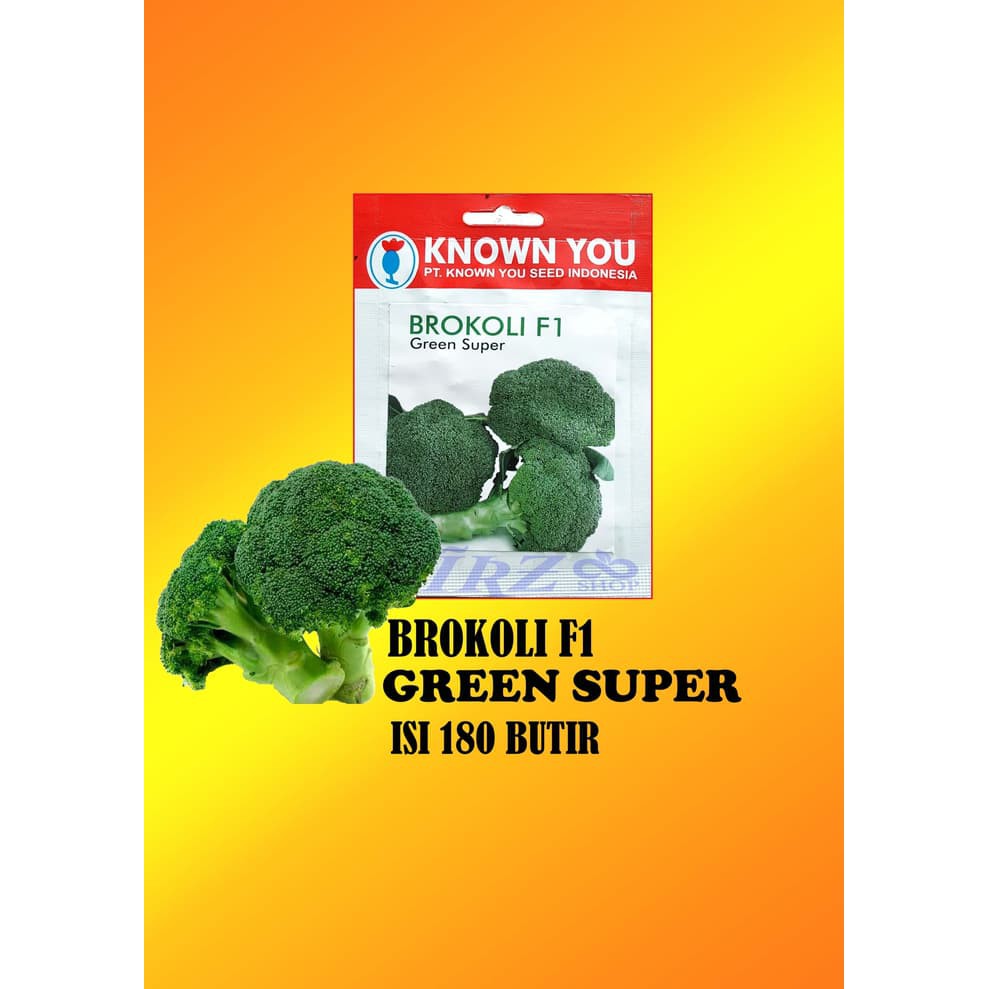 

benih brokoli hibrida green super