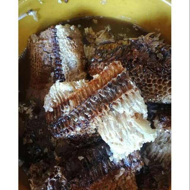 

MADU ASLI HUTAN 100%