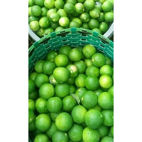 

(TERMURAH) ❤JERUK NIPIS SEGAR 500 Gram
