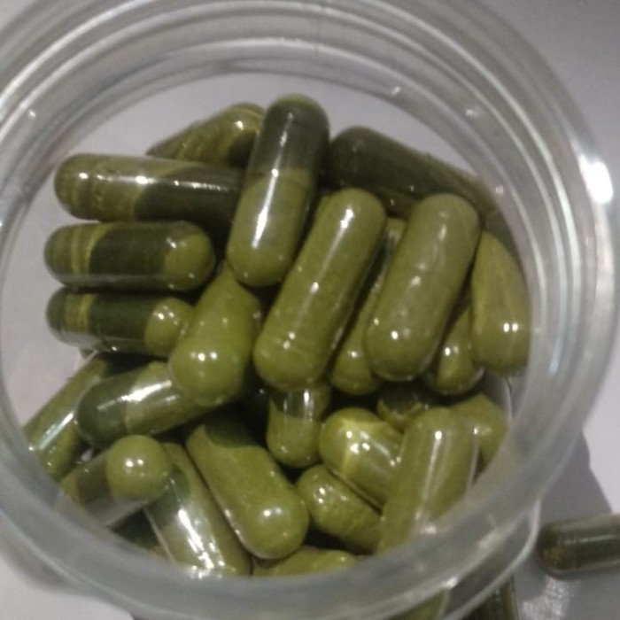 

Kapsul Daun Mimba 100Kapsul "MUMER" (Obat Alami / Herbal)