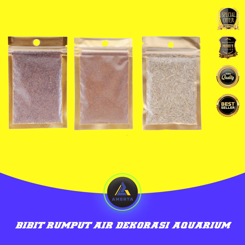 Bibit Rumput Air Dekorasi Aquarium Landscape