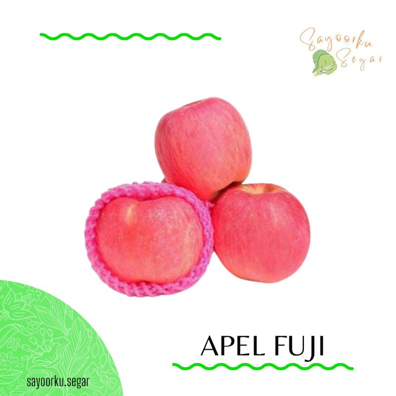 

KIRIM BESOK Buah Apel Fuji 1kg