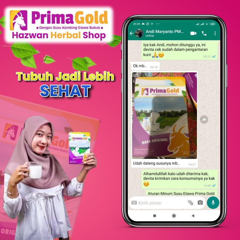 Prima Gold dan Golden Goat Susu Kambing Etawa Asli, Harga Murah dan Berkualitas, isi 4 x 200gram Susu Etawa Bubuk Bantu Kuatkan Tulang, atasi nyeri sendi, nyeri lutut, tulang keropos dan cegah syaraf kejepit. Bagus untuk kesehatan paru-paru dan pernapasan