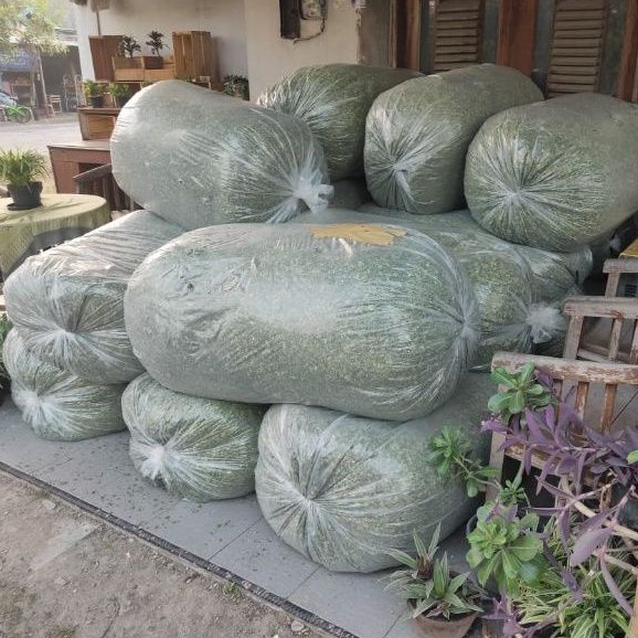 

10kg Daun Kelor Kering