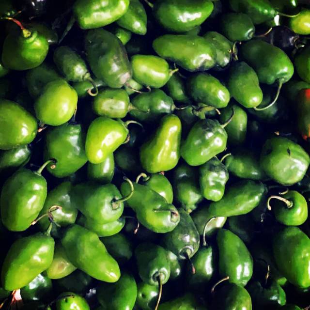 

Cabe Gendot per 500gr