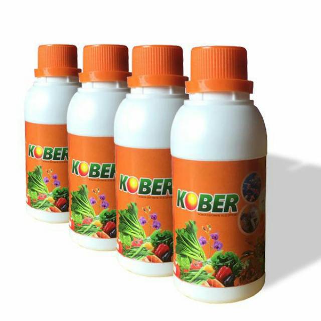 Pupuk Hayati (KOBER)