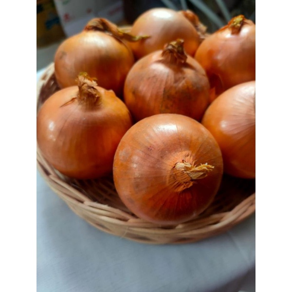 

bawang bombay 250gram