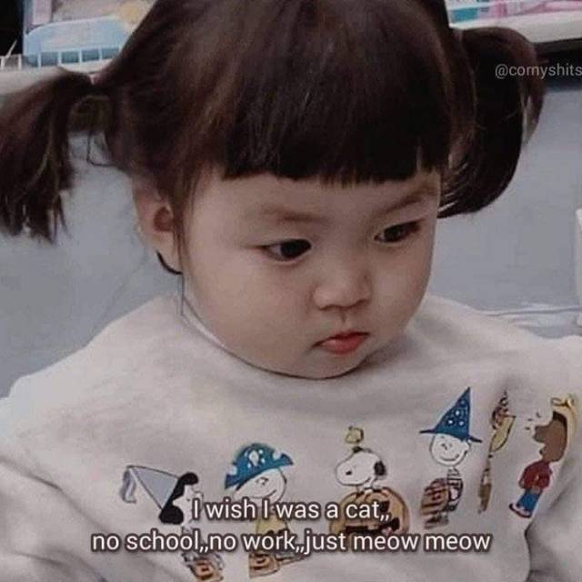 d*****_