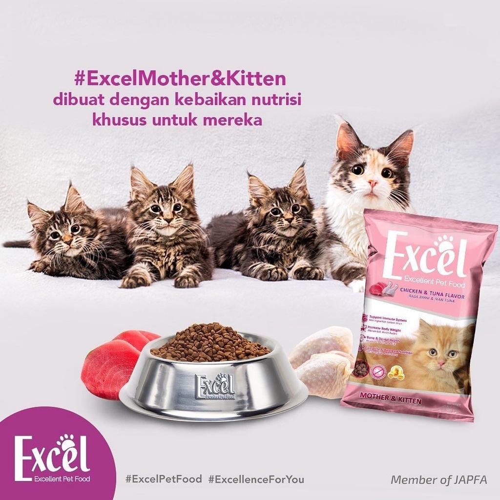 Makanan Kucing Murah Excel Untuk Mother Dan Kitten Ibu dan Anak Kucing FEZONE