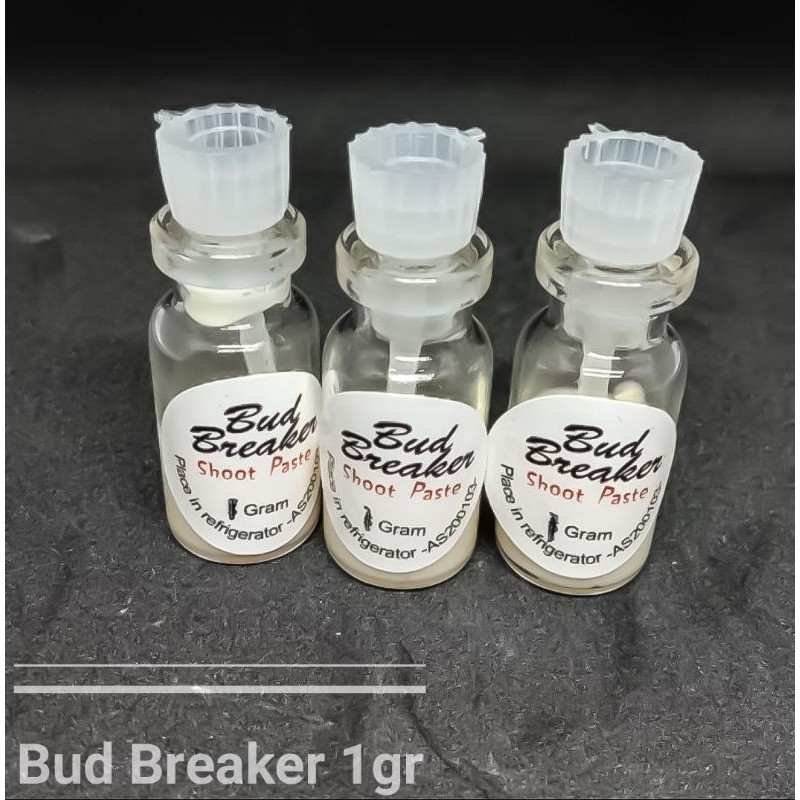 Bud Breaker Budbreaker Penumbuh Tunas Anggrek 1gr / Salep Budbreaker Untuk Bunga Anggrek