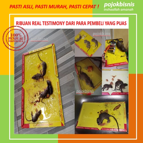 LEM TIKUS PAPAN PAGODA / JEBAKAN TIKUS / PERANGKAP TIKUS / BUKU PAPAN LEM TIKUS