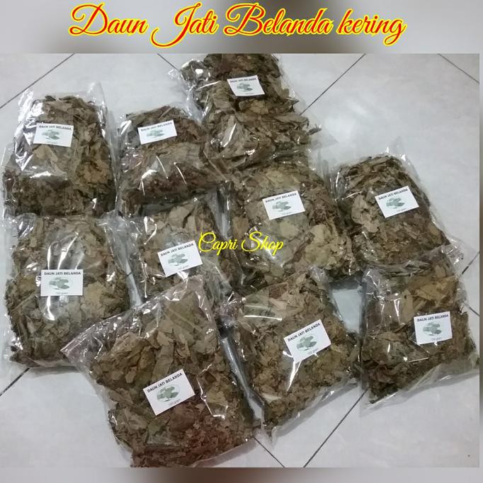 

Teh Pelangsing Daun Jati Belanda 100 gram
