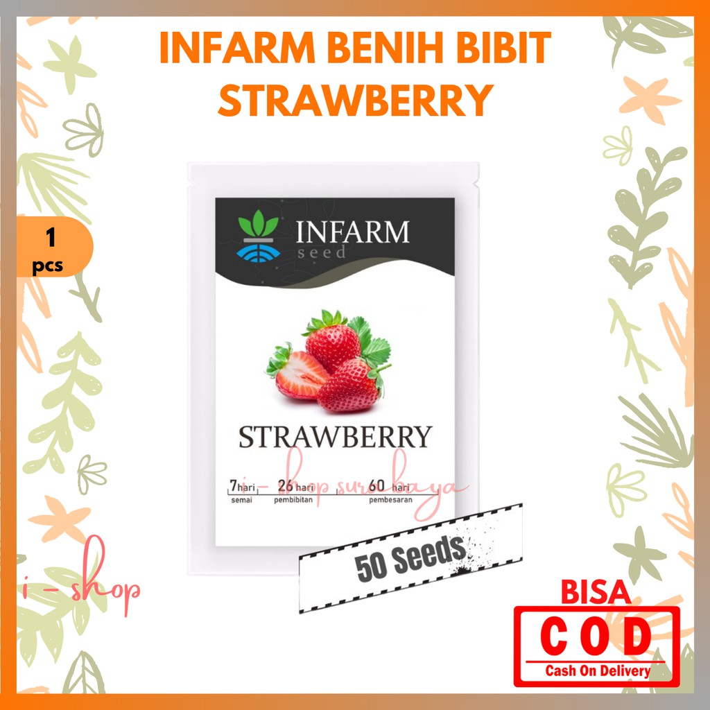 Infarm Benih Bibit Super Buah Strawberry / Biji Super Buahan Stroberi (Red Giant Fragaria Ananassa)