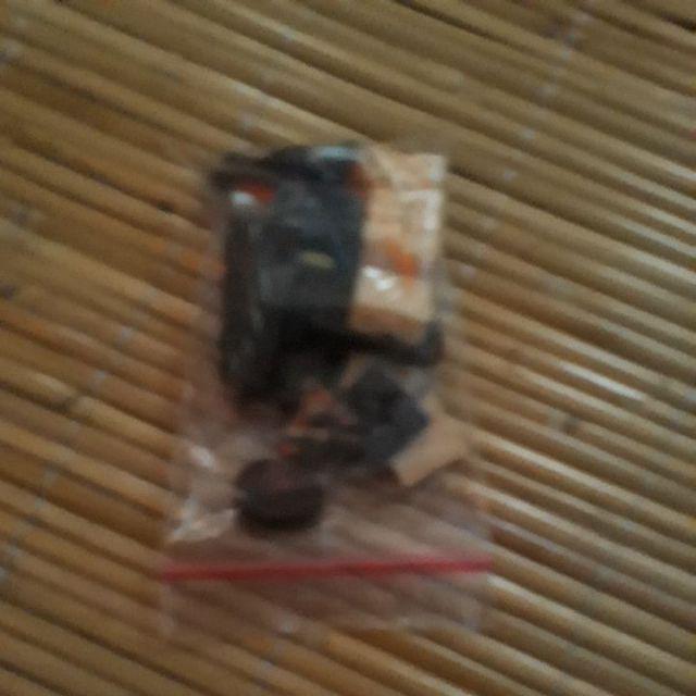 Pinecone / Pinus Kecil