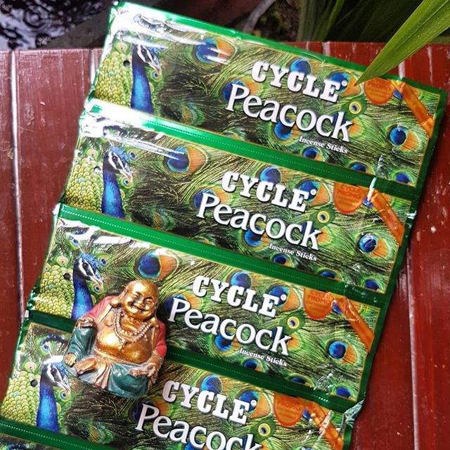 Dupa Import Cycle Peacock