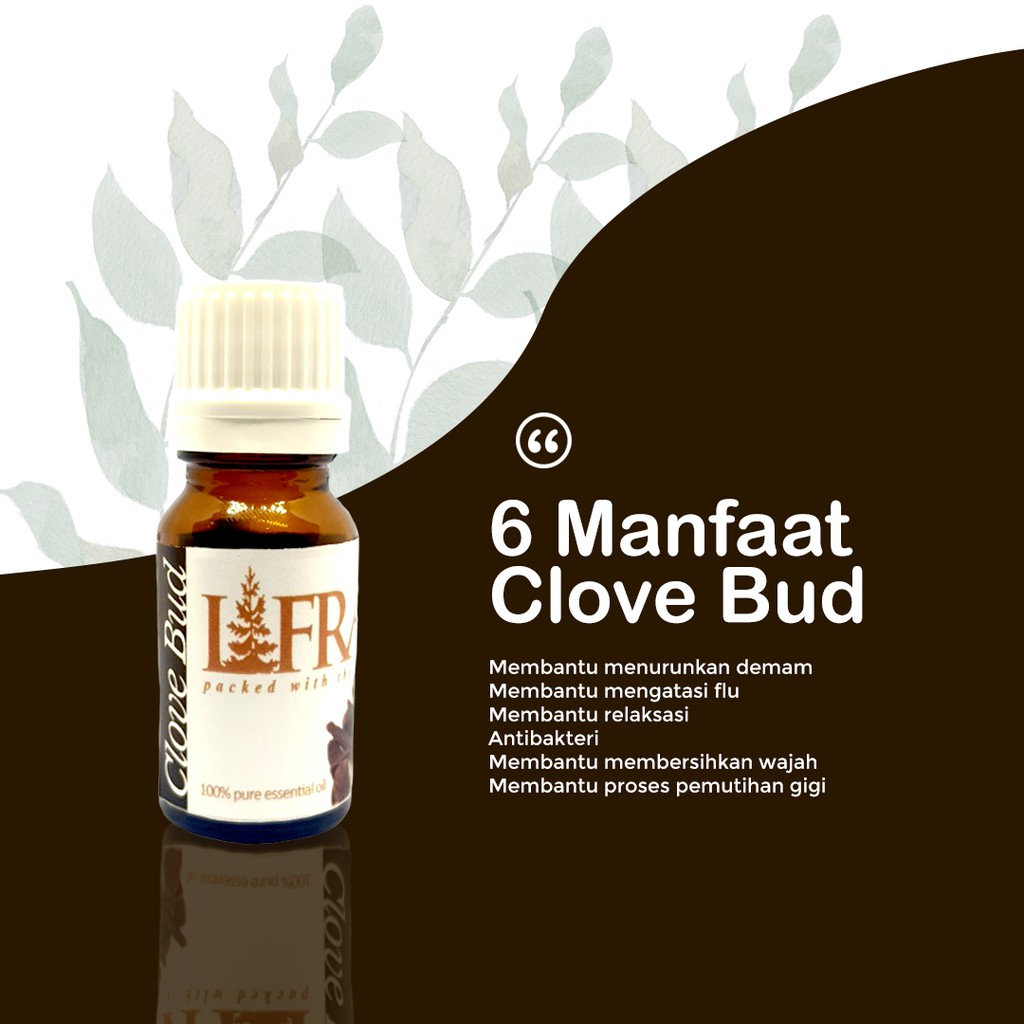 Pure Essential Oil - Essential Oil Murni -Minyak Atsiri Murni - Minyak Cengkeh