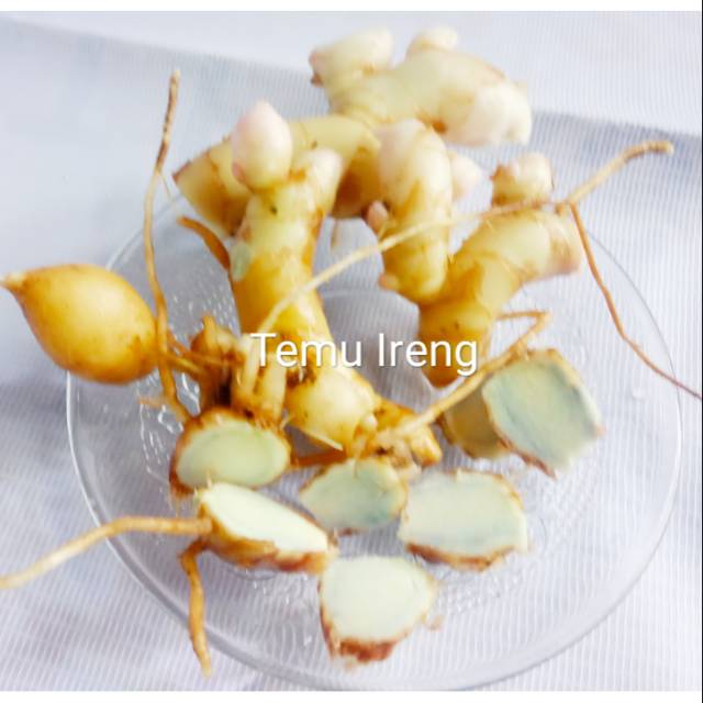 

Temu ireng/Kuning/Putih/Salam/Sere