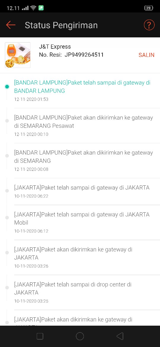 Tempat Sikat Gigi Kumbang Lady Bug Toothbrush Holder Unik