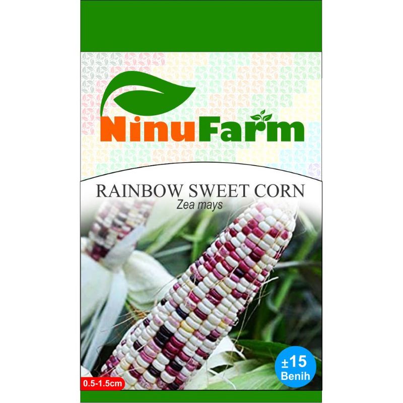 Benih Jagung Manis Warna Warni / Bibit Rainbow Sweet Corn