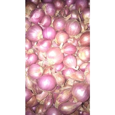 

Bawang Merah 1kg