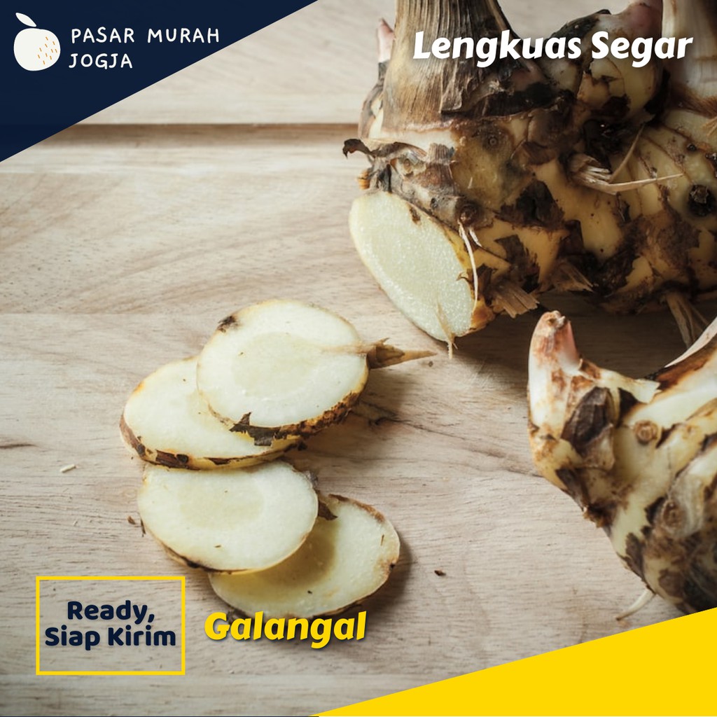 

Laos Lengkuas 250gr Bumbu Dapur Segar Pasar Murah Jogja