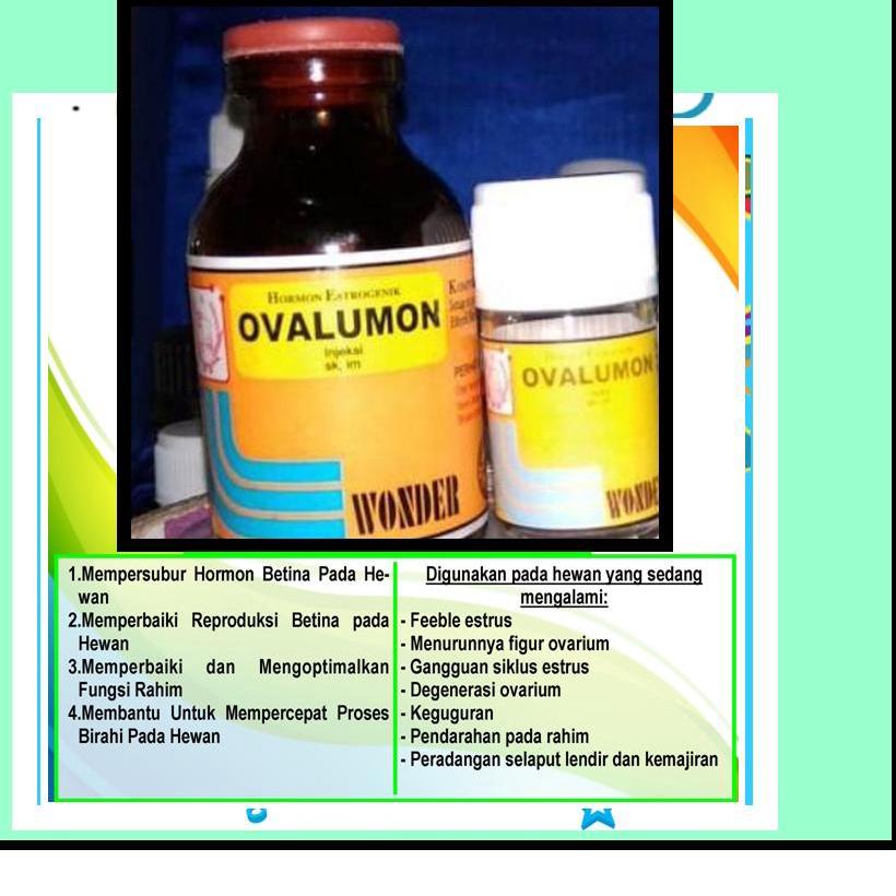 Paling Disukai.. OVALUMON 20ML OVALUMON 5ML OVALUMON OBAT BIRAHI OVALUMON KUCING UNTUK BABI SUNTIKAN