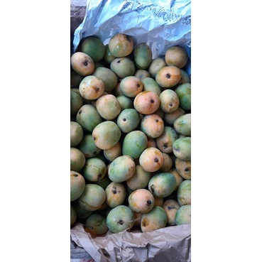 

Mangga Gedong Gincu 1 kg