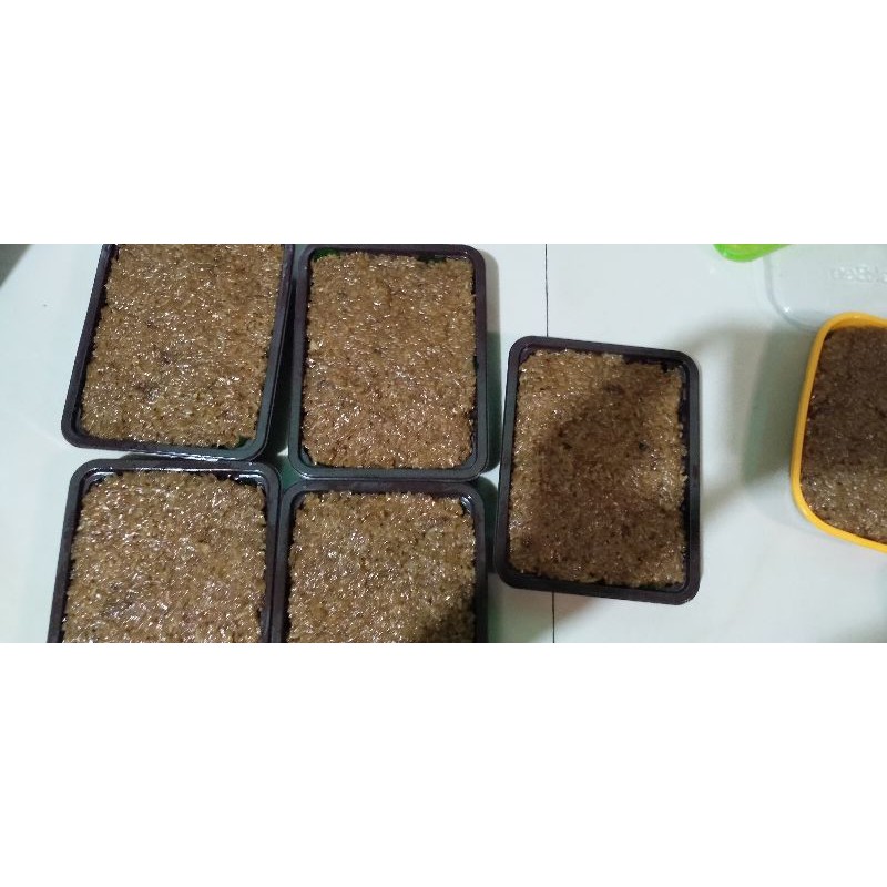

wajik gula Jawa "BU GADOEL