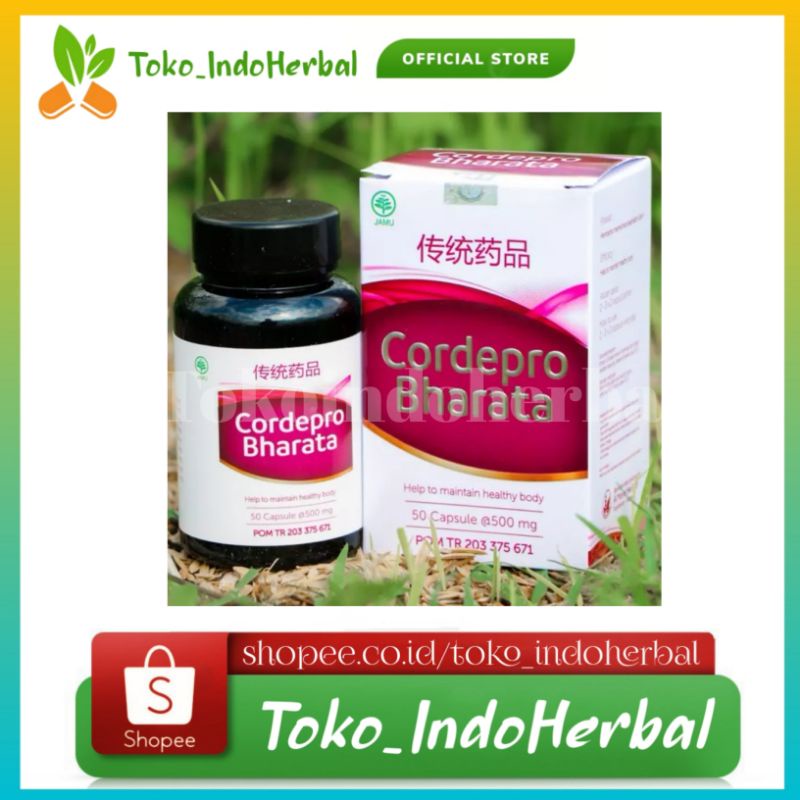 CORDEPRO ORIGINAL Obat Ginjal Premium - Cordepro Bharata [Membantu Mengembalikan Fungsi Ginjal]