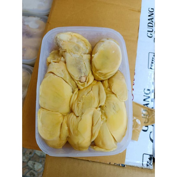 

Durian Nyokssss