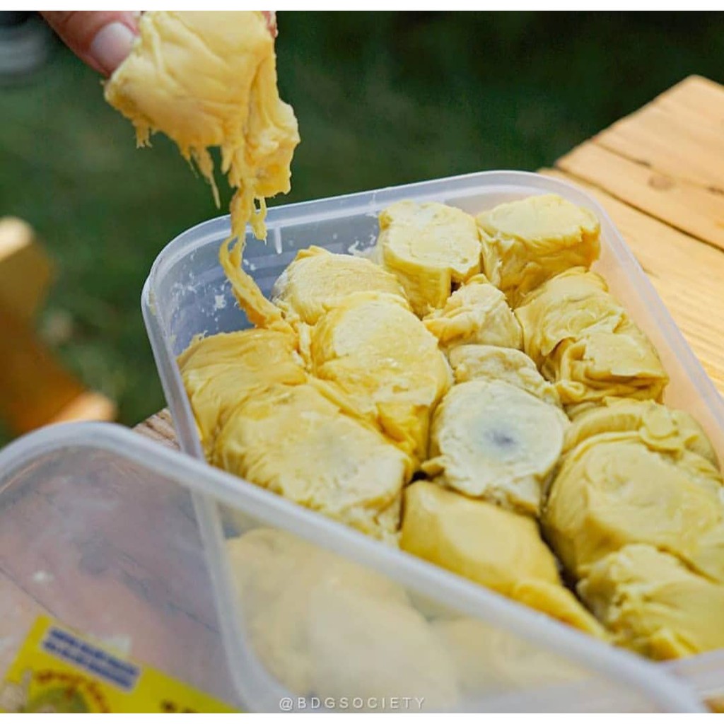 

Durian Pahit