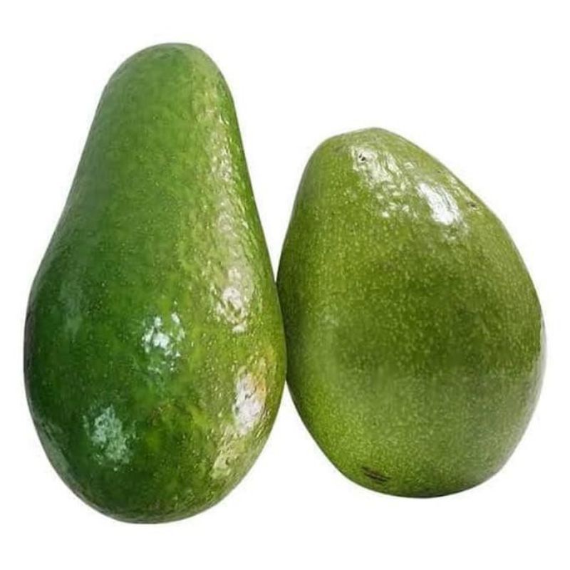 

Alpukat mentega reguler kualitas premium 1kg isi 3-4 buah - avocado - alpukat mentega reguler - alpukat mentega super - alpukat mentega