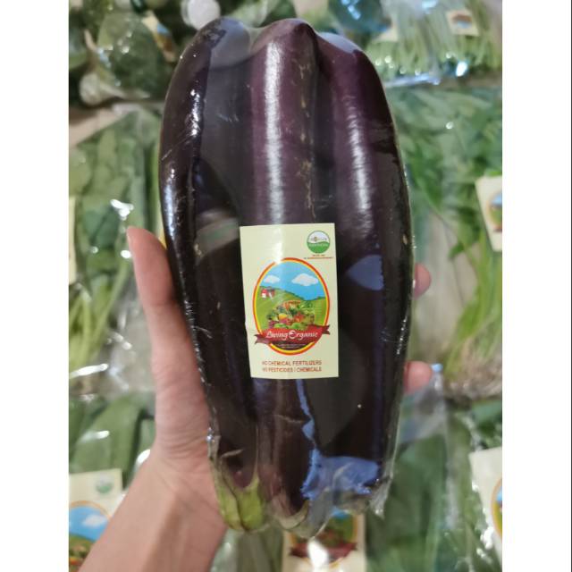 

Terong Ungu Organik || Eggplant || 500gr & 1000gr 1kg || Sayuran Organik