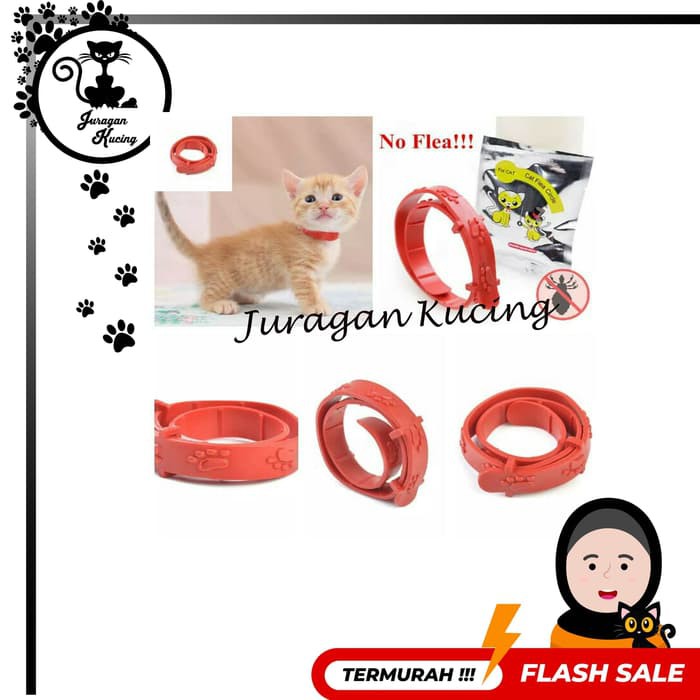 Kalung Kucing Anti Kutu nyamuk murah dan bagus