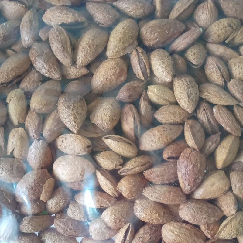 

kacang almond panggang 250gr
