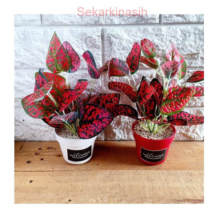 bunga plastik daun imitasi aglonema dekorasi rumah -