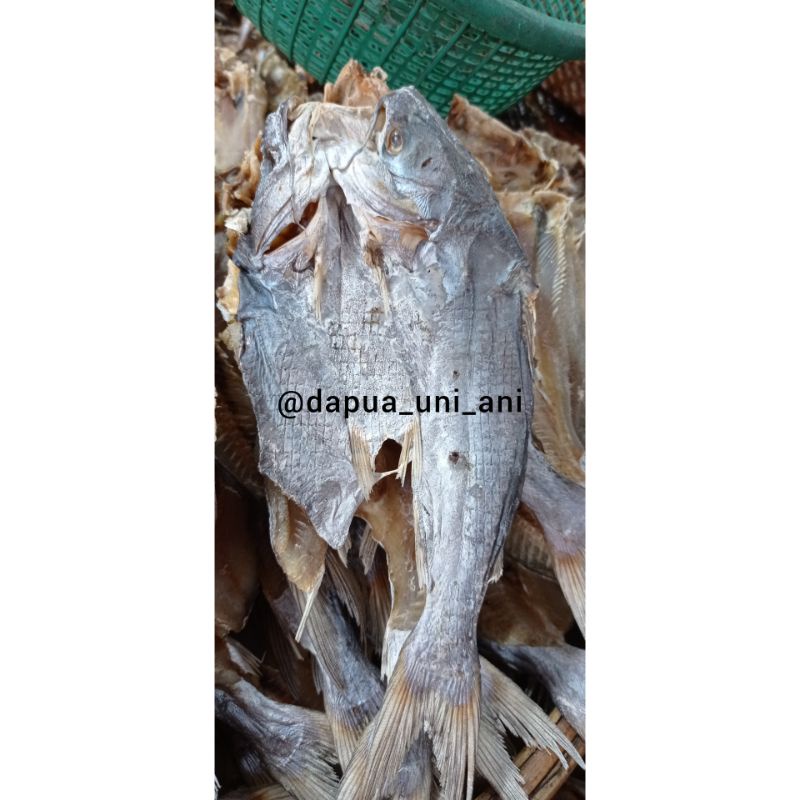 

IKAN ASIN BAGUAK AIA BANGIH 250GR