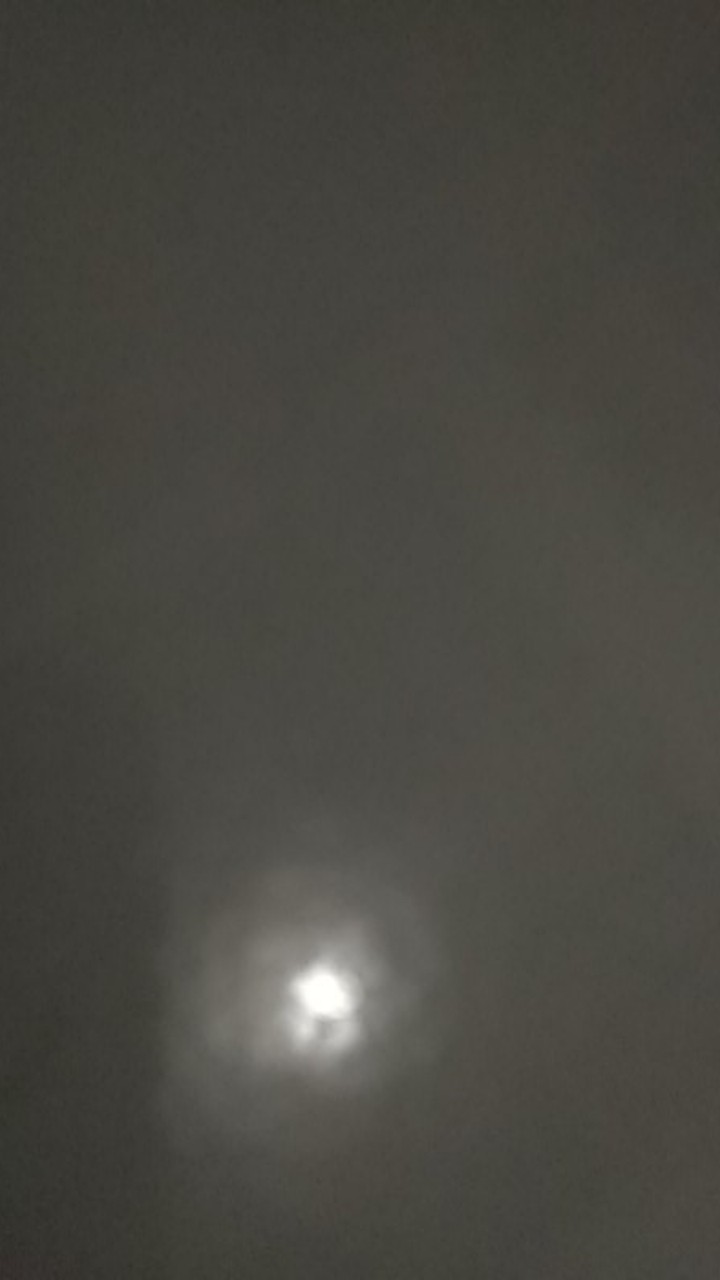 Batik Pria Lengan Panjang / Pendek Terbaru Katun Furing Asli Solo Ukuran M L Xl Xxl