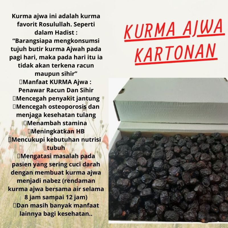 

Kurma Ajwa Madinah Kartonan Original Import Asli Fresh