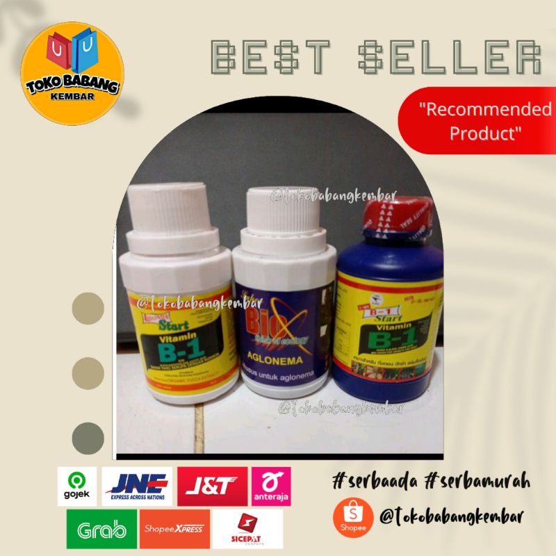 Paket Hemat Vitamin B1 Star, B1 Thailand dan Bio Aglonema Murah