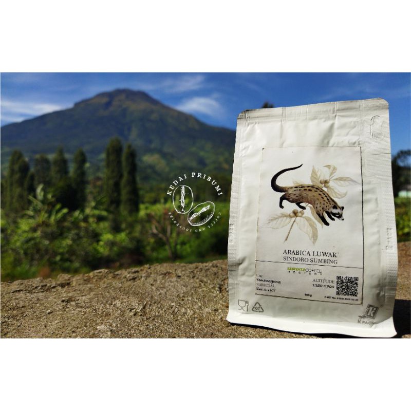 

Kopi Arabika Luwak Sindoro Sumbing