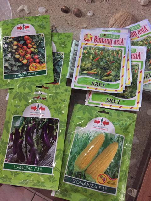 Benih Jagung Manis Bonanza F1 200 Butir