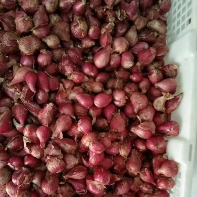 

Bawang merah 500 gram ukuran campur