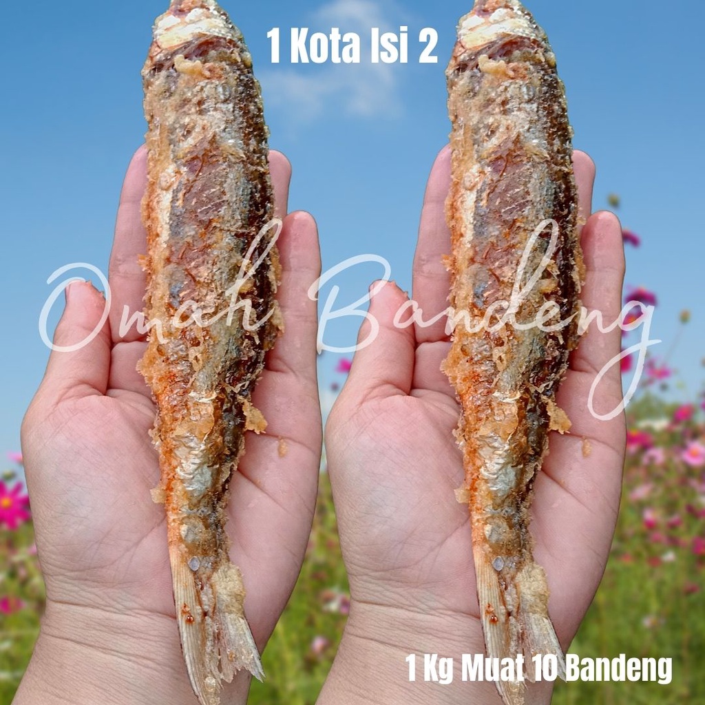 

OTAK OTAK BANDENG ISI 2 ASLI JUWANA PATI