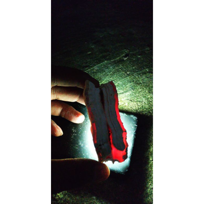 bahan cempaka potensi merah