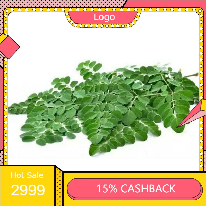 

RENGKEK SURABAYA - Daun Kelor