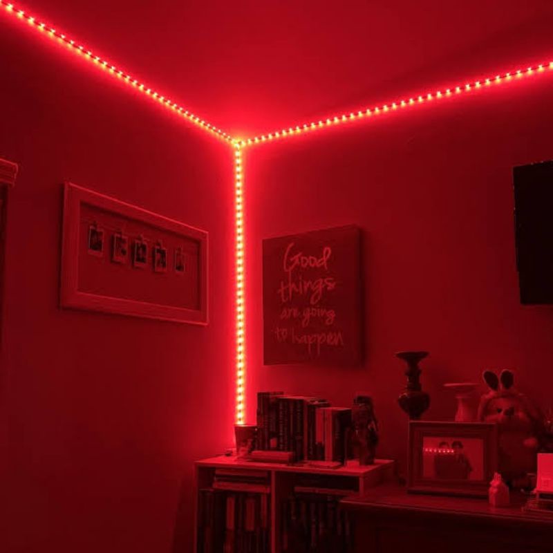 Lampu LED STRIP METERAN MERAH / RED  SMD 5050-60D waterproof AC 220V