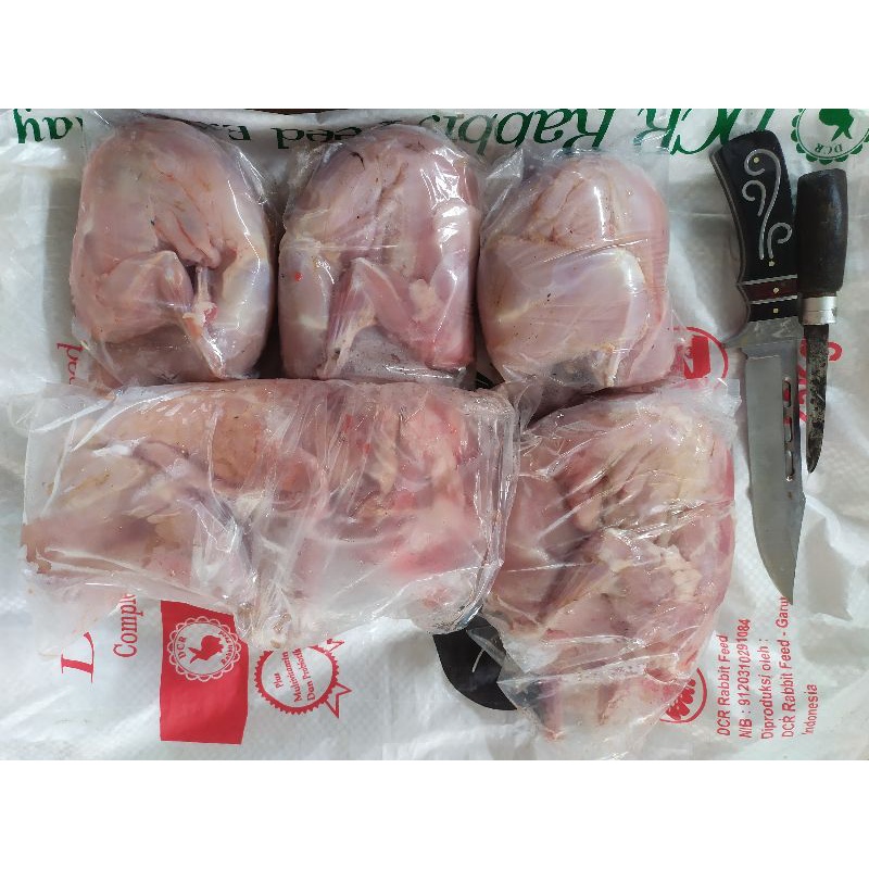 Karkas Daging Kelinci