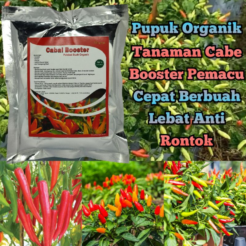 Pupuk Pelebat Cabe Organik Pupuk Booster Cabe Pemacu Cepat Berbuah Lebat Anti Rontok Pupuk Penyubur 